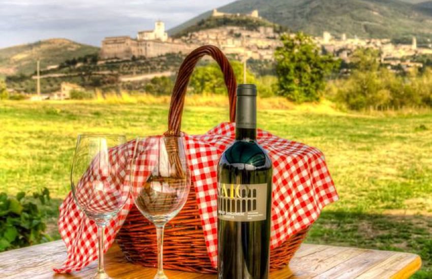 Piquenique na Vinha de Assis